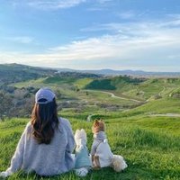 Pisatoa (@pisatoa95010) 's Twitter Profile