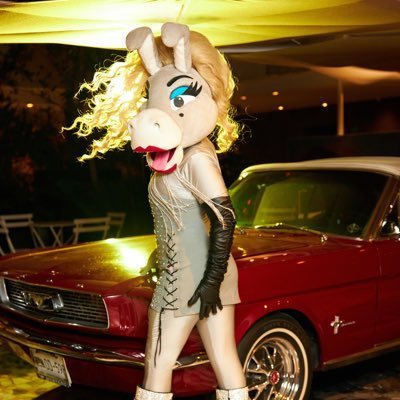 BurritaExplica's profile picture. NO soy Burrita solo escribo pura pendejada y a veces doy contexto