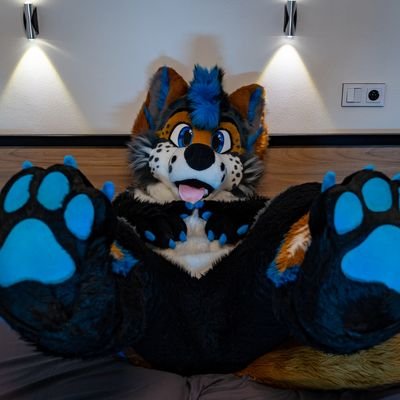 🪡@Fionka_fursuits /Taken by @Georgie_woofy / paws, dancing, gaming 🥰 /🇨🇿/curently living in 🇧🇪/https://t.co/NwcR6wN1Tu