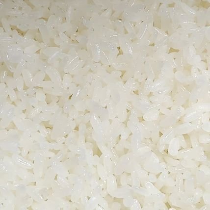 lion_kendo's profile picture. 地球の遠心力で飛んでいきたい #特殊相対性理論 #LEXUS大好き女子 #あいむすわっぐ