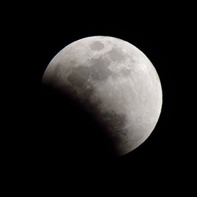 banana_to_kyuri's profile picture. 甘党 虎党