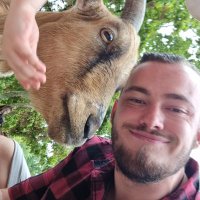 Tim (@looper_98) 's Twitter Profile