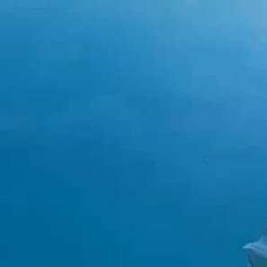 TerminatoGrandR's profile picture. .