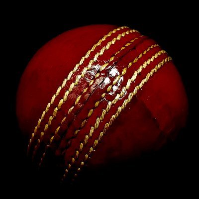 Loves to read Cricket stats
DP Credit: Photo by Chirayu Trivedi on Unsplash