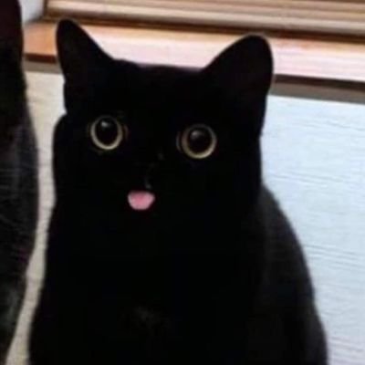 AiDumpzhehe's profile picture. itz me aira