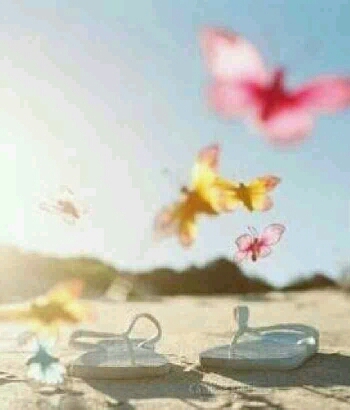 js10250412's profile picture. 