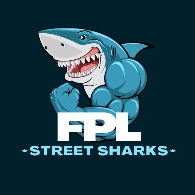FPL Manager since 2019 |  🌏 19/20: 1.89m, 20/21: 17k, 21/22: 3746, 22/23: 61,824 | Highest rank: 1881 (2021-22) | Current rank: 214,514 |