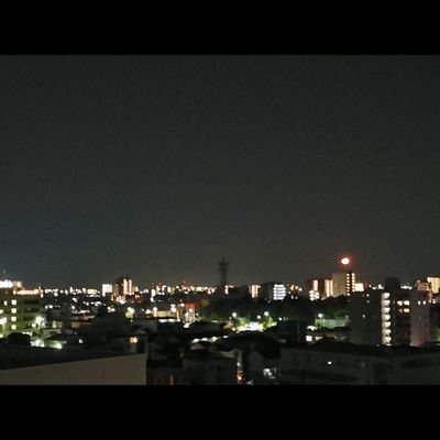 TheWasteful's profile picture. THE WHO tribute band　#THEWHO