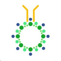 ImmunoACT (@actimmuno) 's Twitter Profile Photo ImmunoACT (@actimmuno) 's Twitter Profile Photo