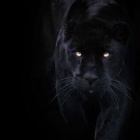 Appiah 🇹🇷 (@endezyar71) Twitter profile photo