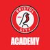 Bristol City FC Academy (@BristolCityAcad) Twitter profile photo