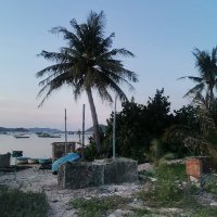 philongnkx (@philong1282838) 's Twitter Profile