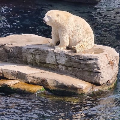 Benni2901's profile picture. 