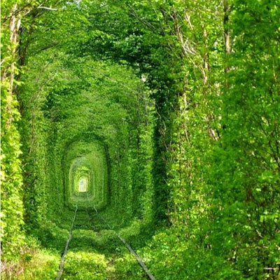 6onzaloArroyo's profile picture. 