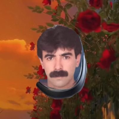 KamilDalkln3's profile picture. Asla kıvıramam