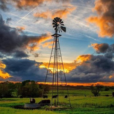 genx4_l's profile picture. MAGA 🇱🇷🇱🇷 Mom❤️ God Before All!