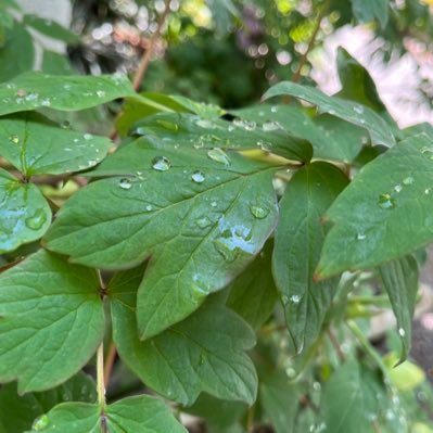 s3nWNiCGIs62982's profile picture. 