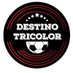 Destino Tricolor 🇾🇪 (@DestinoTricolor) Twitter profile photo