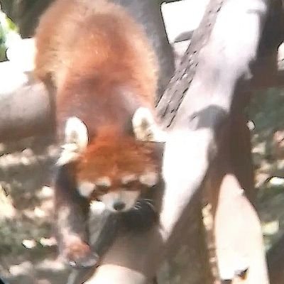 w56436217's profile picture. 