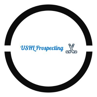 USHLProspecting Profile Picture