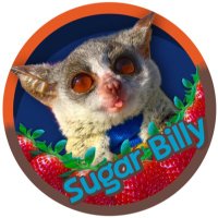 Billy (@sugarbilly_) Twitter profile photo