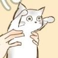 ぬいさんのプロフィール画像