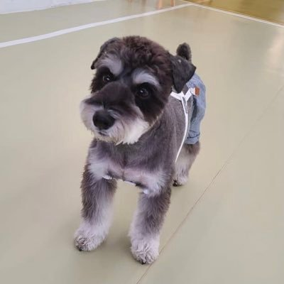cute_kwiyowo's profile picture. 日常アカウント