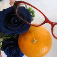 荒井謙 (@arancia_arai) 's Twitter Profile Photo