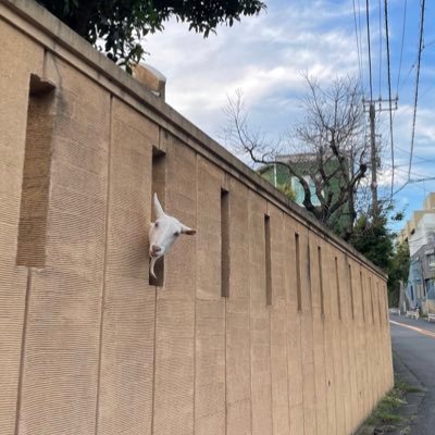 Jpt2nd's profile picture. 理論化学。ヨビノリ王🥉