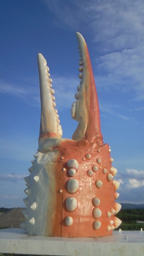 handssp's profile picture. マイカーで日本一周達成。 北海道全市町村（島含む）到達達成。キャンプとアクアリウムが好き。B-65は合言葉。