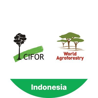 Kami sangat gembira mengumumkan akun baru kami @CIFOR_ICRAF_ID! Dukung kekuatan transformatif pohon dengan mengikuti @CIFOR_ICRAF_ID🌳