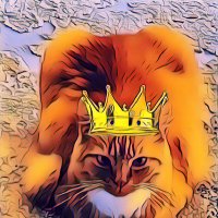 🦁🐈KingVITO & PrinceMIKESCH+QueenMICKY🐈‍⬛🐈‍⬛(@LionKingVito) 's Twitter Profile Photo