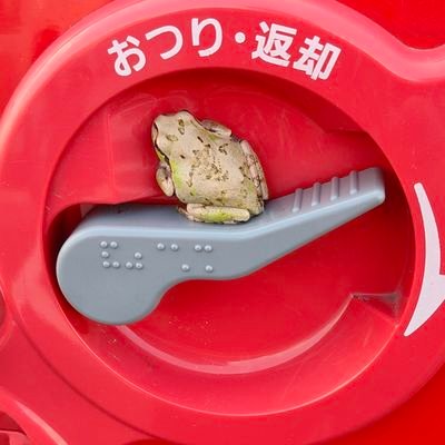 akirakai07's profile picture. 不思議なことが良く起きる
今日この頃
((((；ﾟДﾟ))))ｶﾞｸｶﾞｸﾌﾞﾙﾌﾞﾙ

日本中ツーリング三昧
したいと思う今日このごろ👍
ツーリングの締めは♨