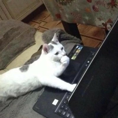 一般吃茶人さんのプロフィール画像