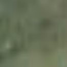 ecilainn's profile picture. 