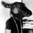 Profile image of Josh