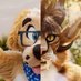 Thuamas 🐶📸 (@thuamas) Twitter profile photo Thuamas 🐶📸 (@thuamas) Twitter profile photo