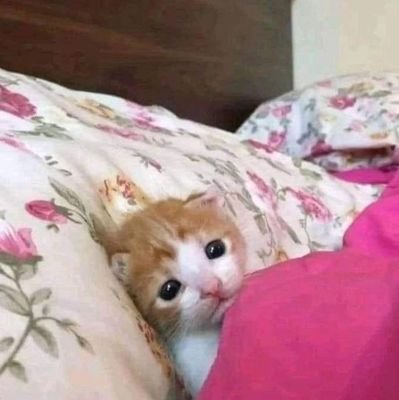 poompuring's profile picture. gawddddddd