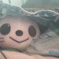 花な (@zejaexg0qbq3ko1) 's Twitter Profile