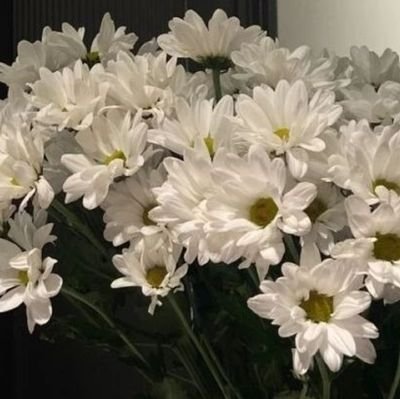 KarAyd506070's profile picture. 🦋 Bir çocuk ,Bir öğretmen ,bir kitap ve bir kalem ile dünyayı değiştirebilir 👩‍🏫