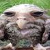 Steven Harper (@barrybebewewe) Twitter profile photo Steven Harper (@barrybebewewe) Twitter profile photo