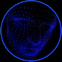 Whorebot Auditions (@whorebotauditor) 's Twitter Profile Photo