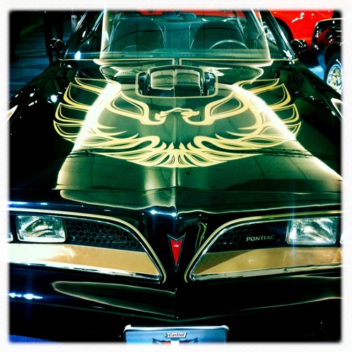 paulynomial's profile picture. ask Steph