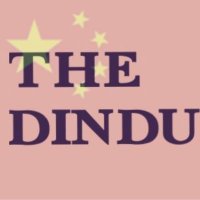 The Dindu(@TheDindu) 's Twitter Profile Photo