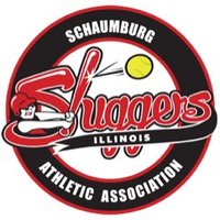 Illinois Sluggers Apple 16U (@sluggerapple) 's Twitter Profile