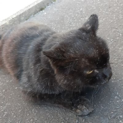 ショップの皆様へ
体格でクラブをすすめられると重くて振れないです😅
今の私はシャフトRで十分です
断れず買ってしまいます
よろしくお願いいたします🙇