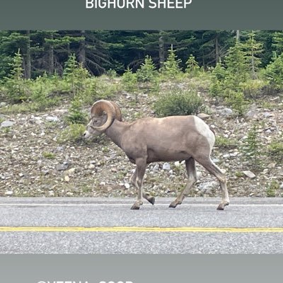 JillHopeJohnson's profile picture. Living Life to the Fullest