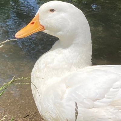 q7hvqtyuJrAmIv4's profile picture. 