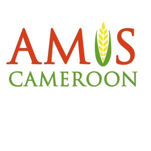 AMIS_Cameroon's profile picture. Connecting rural farmers in #Cameroon with vital market information through bulk SMS, fostering sustainability and achieving the #MDGs.