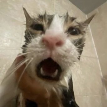 _xPretty_Boyx_'s profile picture. 